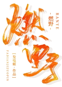 燃野少年的天空免费