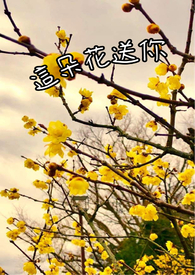 这朵花开的可真美英语