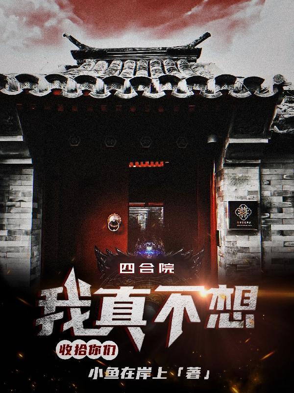 四合院我傻柱开局拒绝