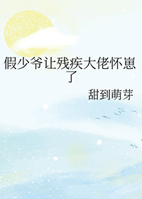 假少爷怀了真少爷的孩子小说