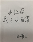 失忆后成了小白菜txt