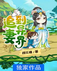 追妻追到乡下小说
